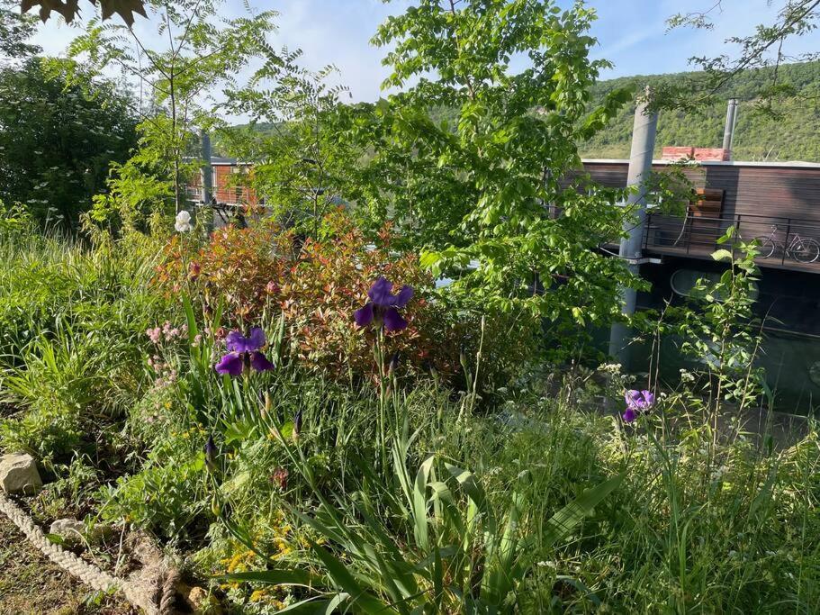 Maison Fleurs De Lys, Climatisee, Wifi Et Parking Privee Gratuit, Lave-Linge, Vernon Giverny Екстер'єр фото